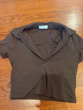 Aritzia Contour Polo Cropped Tee and Rich Mocha Brown